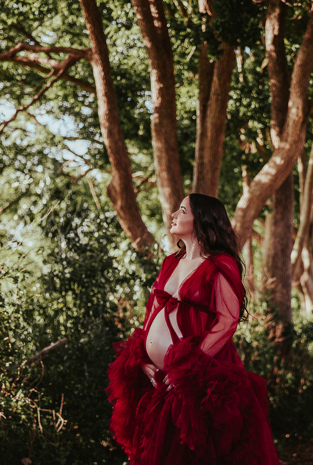 Burgundy Tulle Maternity Gown Maternity Photography Photo Shoot